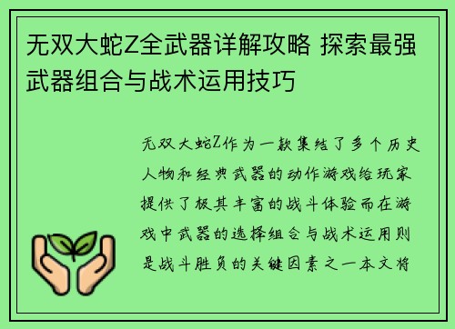 无双大蛇Z全武器详解攻略 探索最强武器组合与战术运用技巧